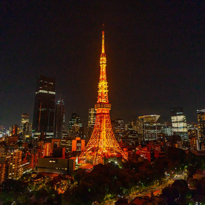 도쿄 더 프린스 파크 타워 호텔 도쿄 타워 저니텔러스