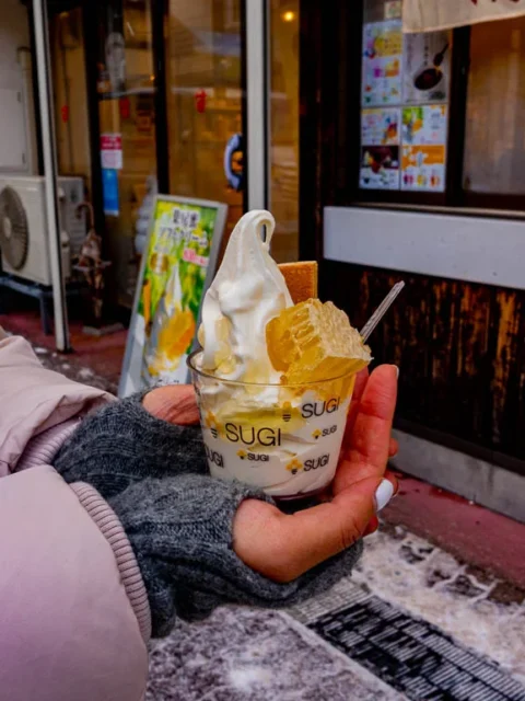노보리베츠 온천마을